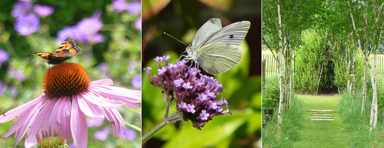 Ecologisch tuinieren, hoe begin je eraan